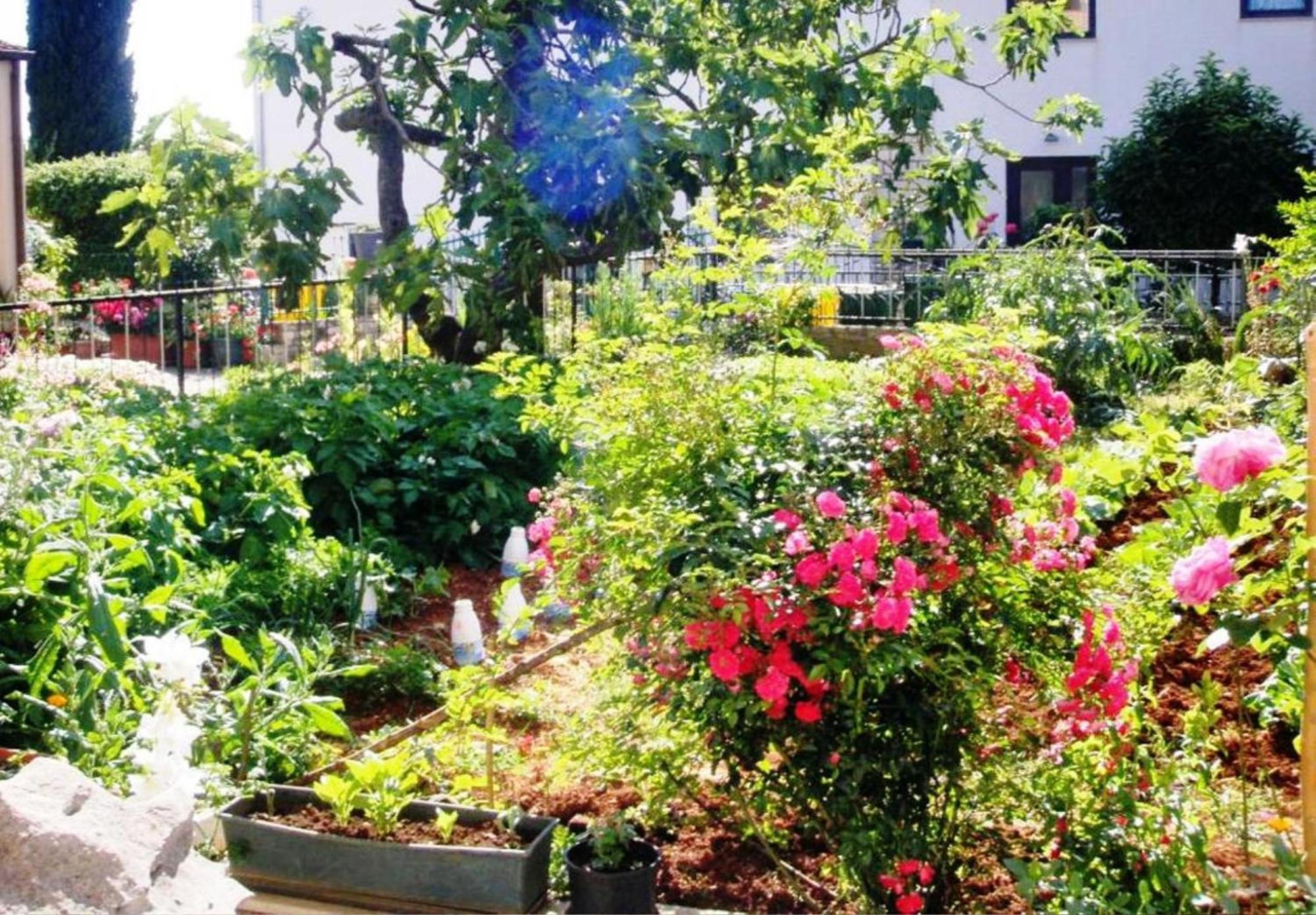 Apartman Renata Mare