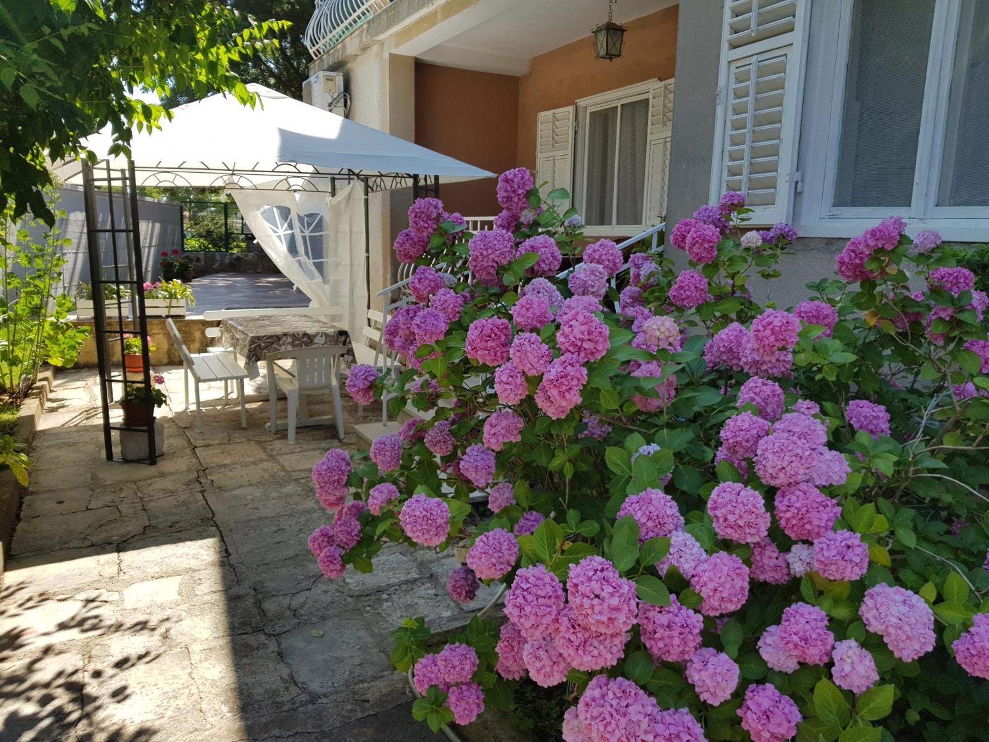 Renata Mare Rovinj